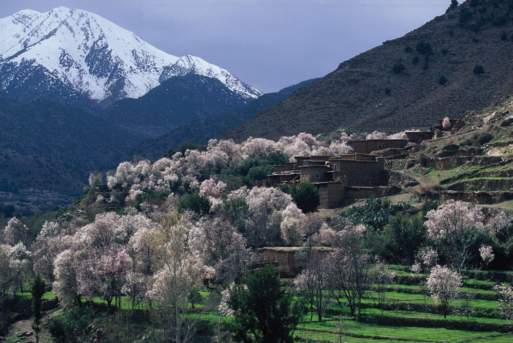 Day trip ourika from marrakech